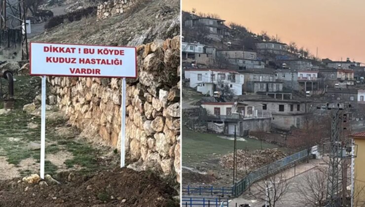 Köpek tarafından ısırılan çocuğun yaşadığı köyde karantina: Dikkat! Bu köyde kuduz hastalığı vardır