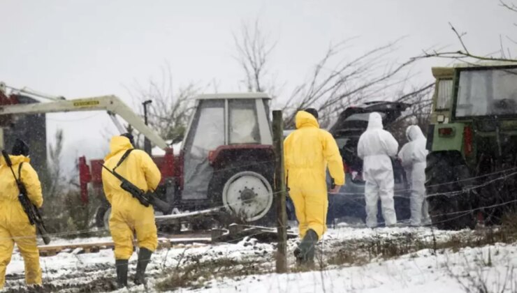 Almanya’da 35 yıl sonra şap vakası görüldü