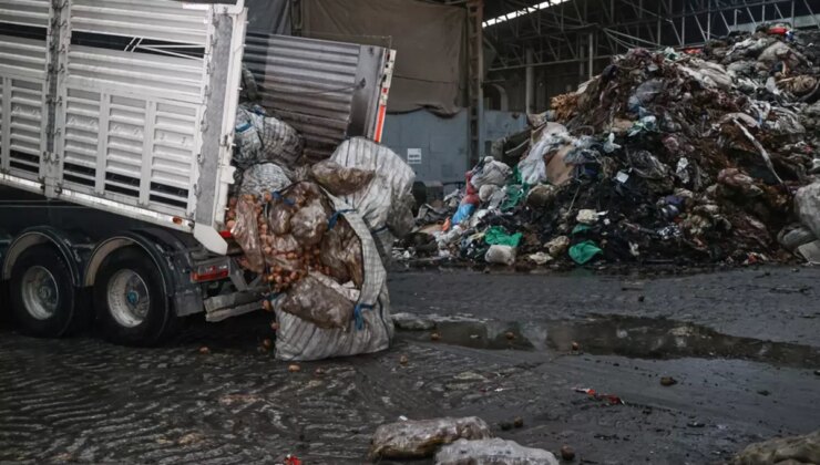 Her mutfağa giriyor! Hastalık belirlendi, tonlarcası imha edildi