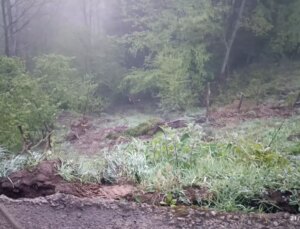 Uçuruma yuvarlanan araçta 2 kişi hayatını kaybetti