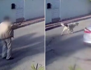 Yaşlı adam kendisine saldıran köpeği vurarak öldürdü