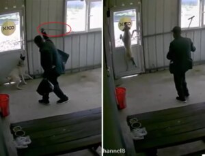 81 yaşındaki adam köpeği bastonuyla acımasızca dövdü