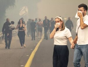 Kudüs ile Tel Aviv arasındaki yangında 12 bin dönüm alan küle döndü